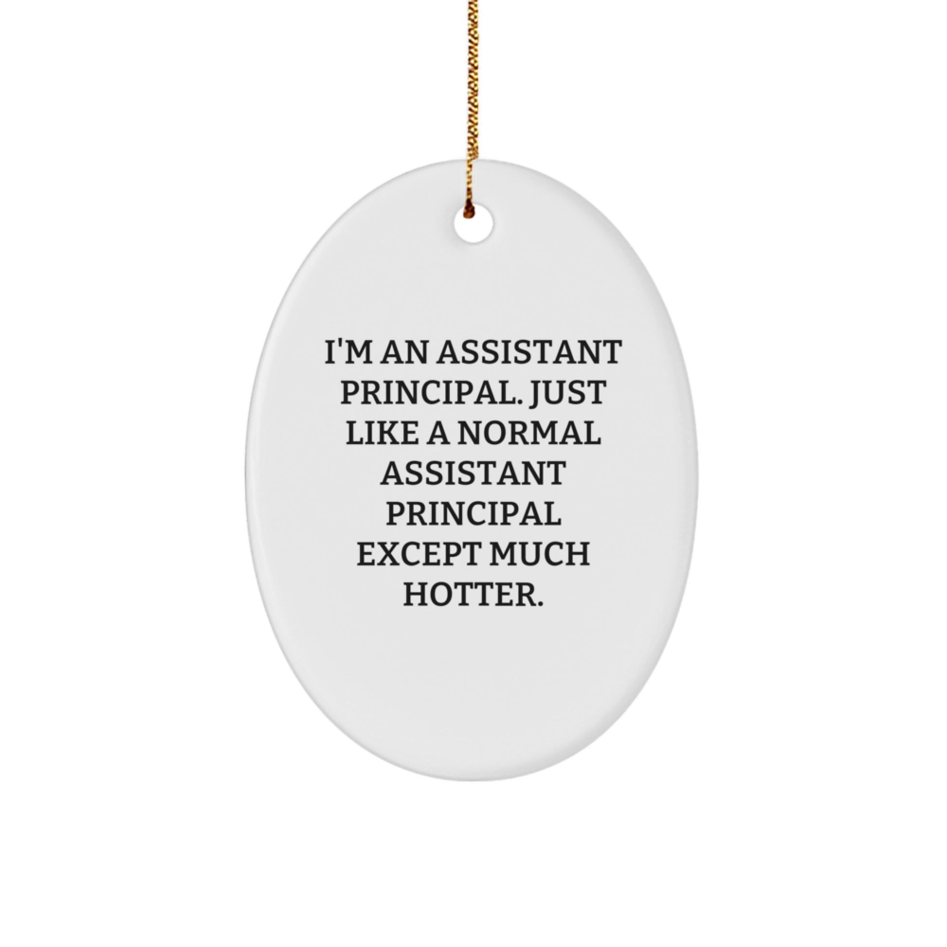 Assistant Principal Oval Ornament Funny Quote Gifts for Men from Family, Christmas Unique Gifts for Assistant Principals - Image 1