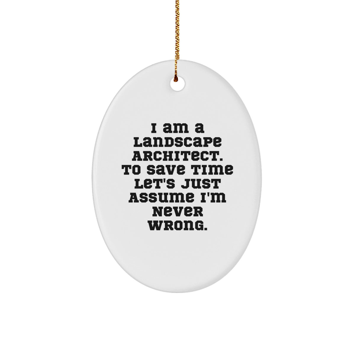 Christmas Unique Gift Landscape Architect Oval Ornament for Her Never Wrong - Image 1