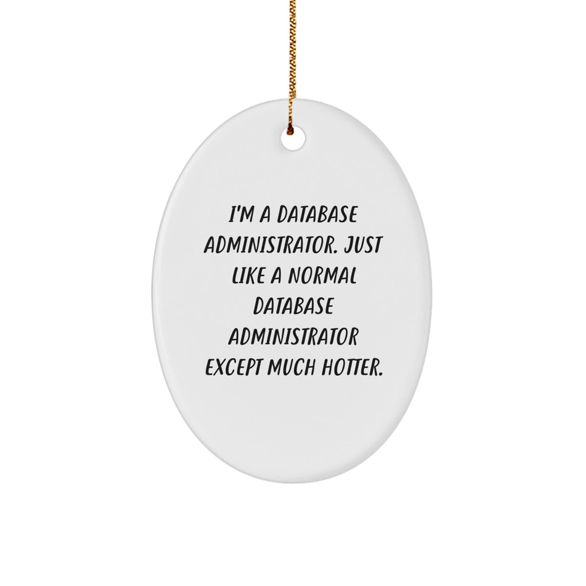 Funny Database Administrator Gifts, Oval Ornaments for Christmas Unique Presents for Friends, Coworkers, Family Members from Men, Women - Image 1