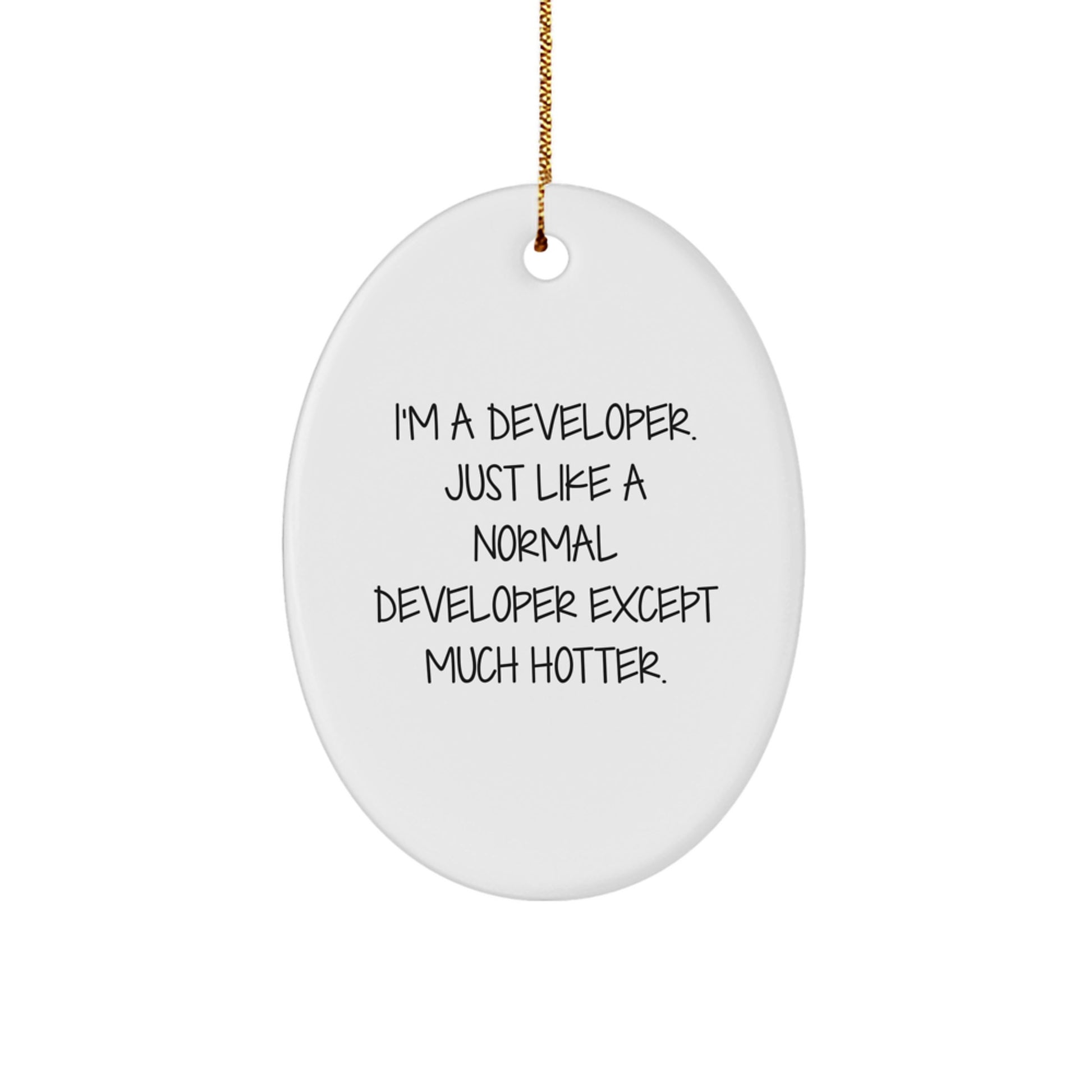 Funny Developer Christmas Oval Ornament Gifts from Friends for Developer, Cute Oval Shaped Decorations for Developer Desk, Developer Office Decor - Image 1