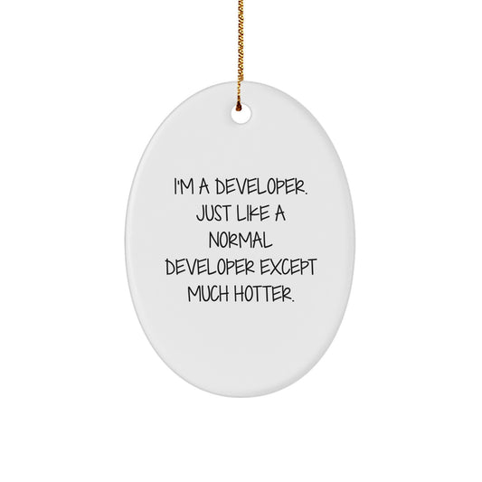 Funny Developer Christmas Oval Ornament Gifts from Friends for Developer, Cute Oval Shaped Decorations for Developer Desk, Developer Office Decor - Image 1