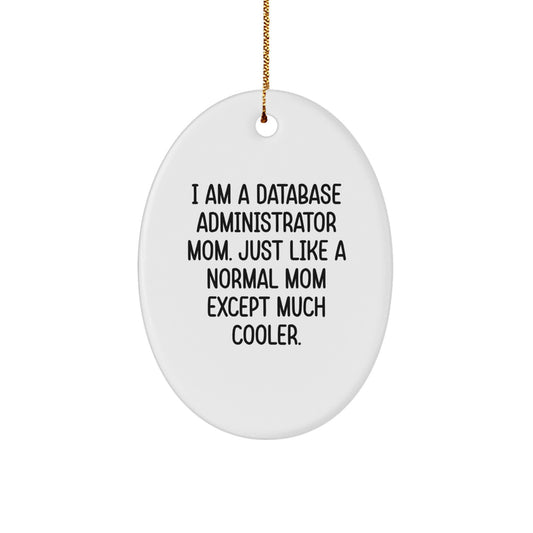 Funny Database Administrator Mom Gifts for Men, Custom Oval Ornament with Inspirational Quote, Christmas Unique Gifts from Friends and Family - Image 1