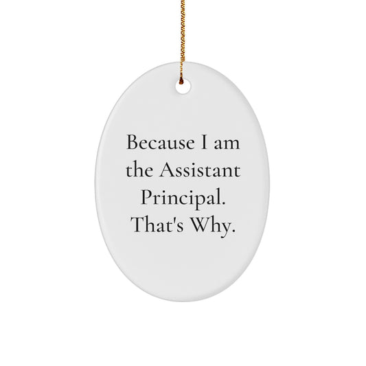 Funny Assistant Principal Gifts from Friends for Christmas - Because I Am The Assistant Principal. That's Why. Oval Ornament - Image 1