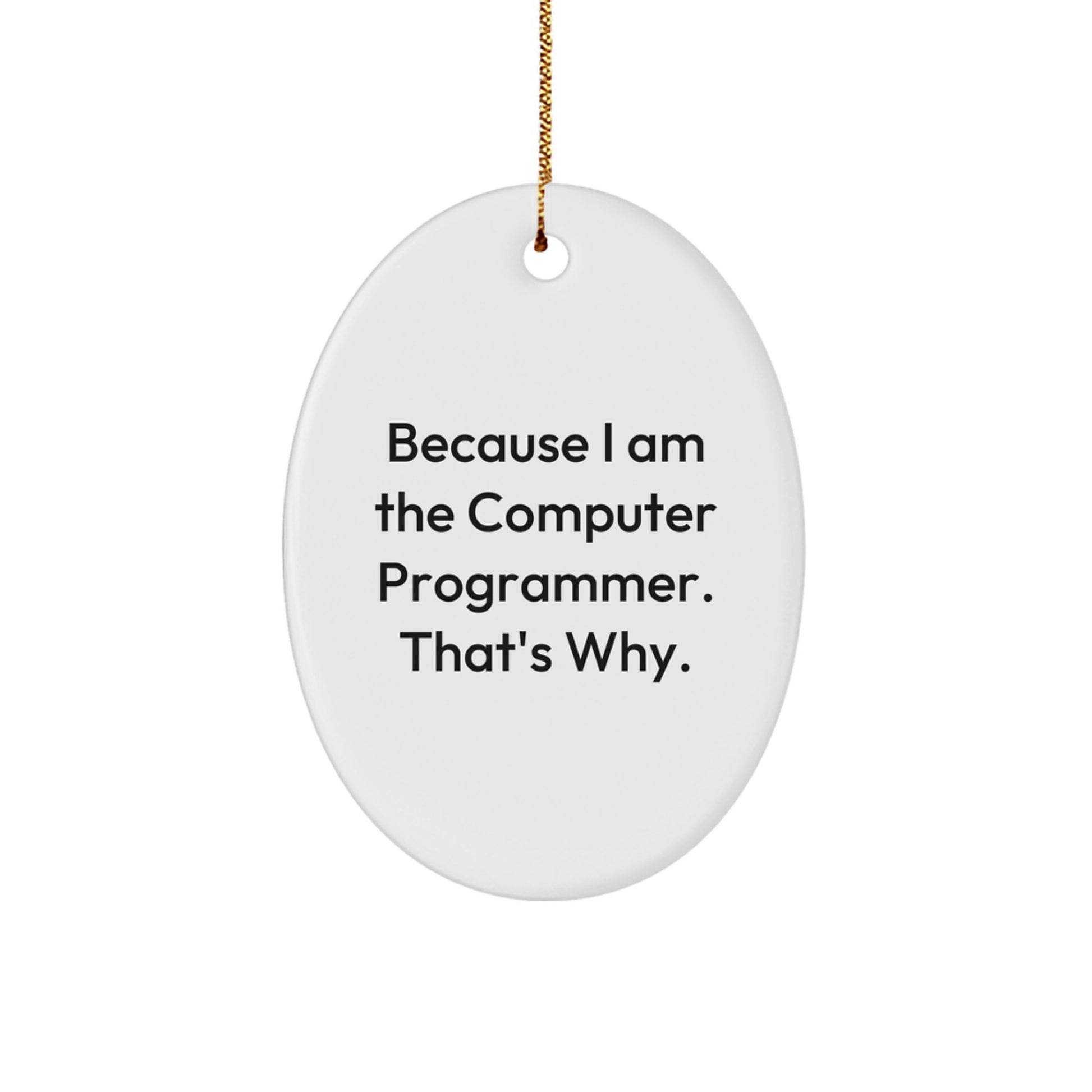 Computer Programmer Oval Ornament Gifts from Friends - 'Because I Am The Computer Programmer. That's Why.' - Image 1