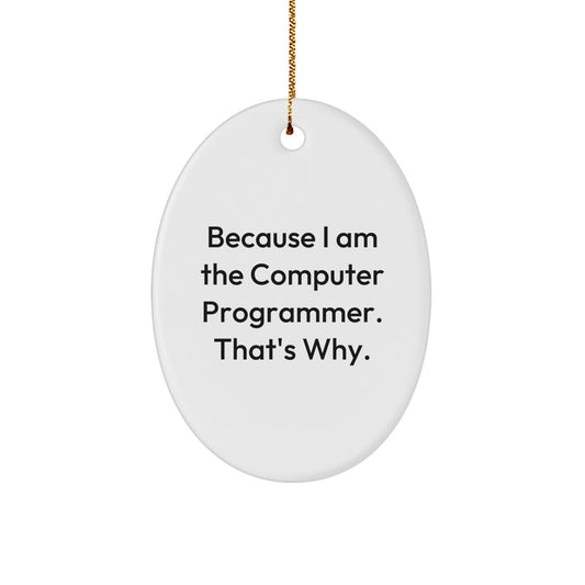 Computer Programmer Oval Ornament Gifts from Friends - 'Because I Am The Computer Programmer. That's Why.' - Image 1