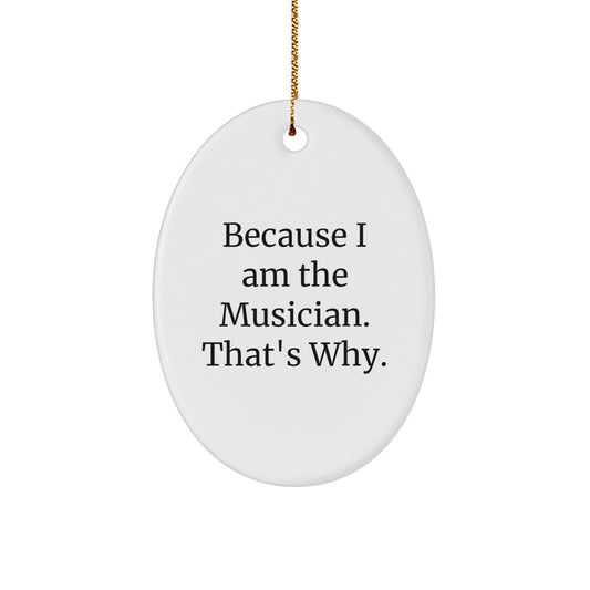 Funny Musician Oval Ornament Gifts from Friends to Musician, Christmas Unique Oval Shape - Image 1