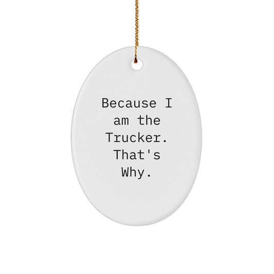 Funny Trucker Gifts Because I Am The Trucker. That's Why. Christmas Oval Ornament for Men Family Friends - Image 1