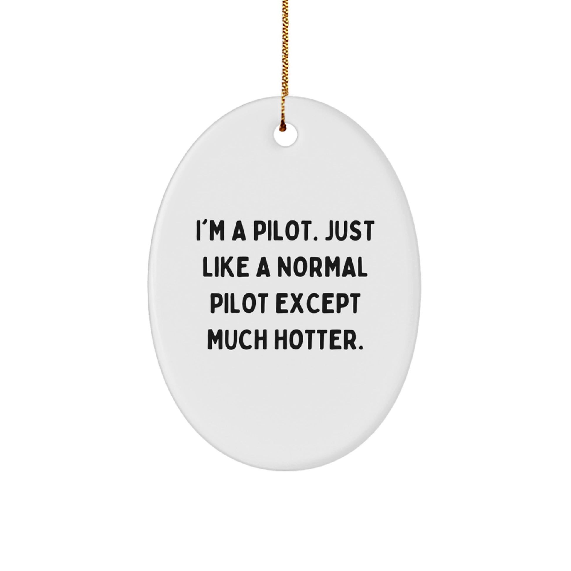 Funny Pilot Gifts from Friends, I'm A Pilot Oval Ornament for Him, Unique Christmas Memorable Presents - Image 1
