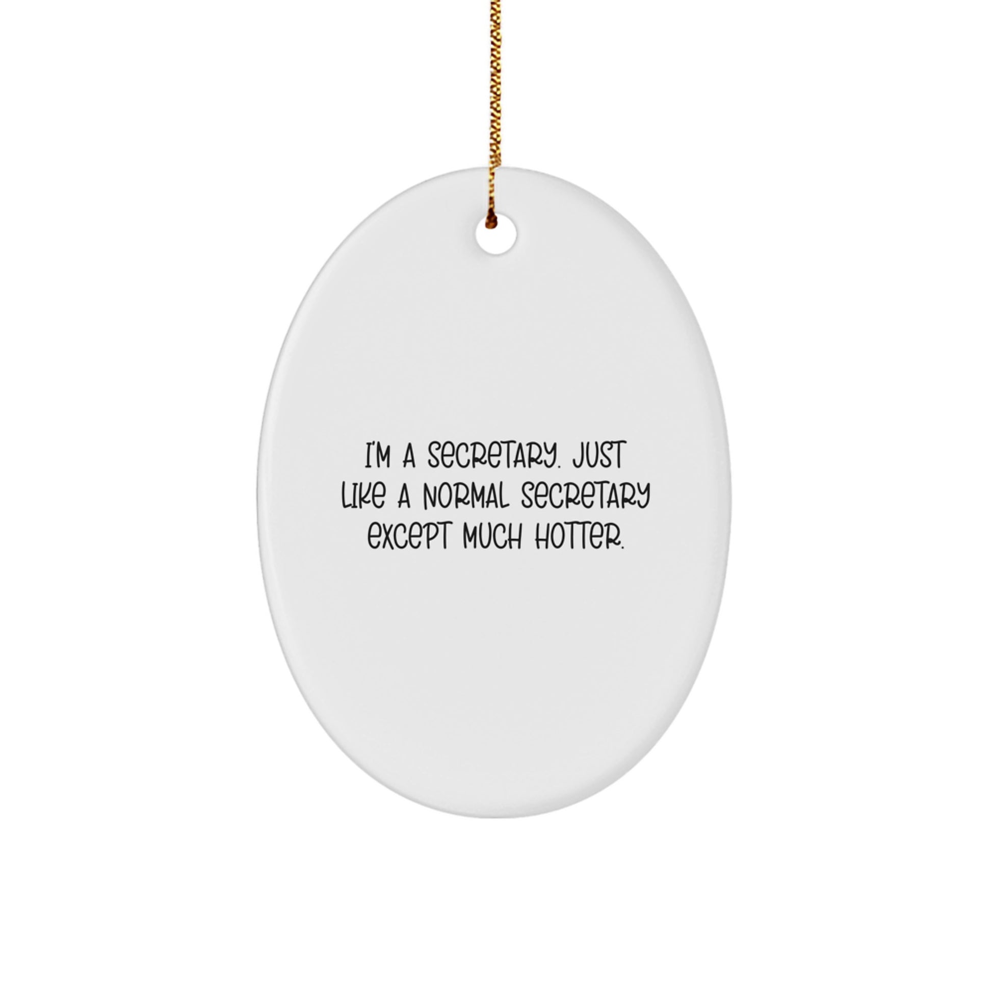 Funny Secretary Oval Ornament Gifts from Friends, Coworkers, Family, Christmas Unique Presents for Secretaries, Oval Shaped Decorative Home Office Accessories - Image 1