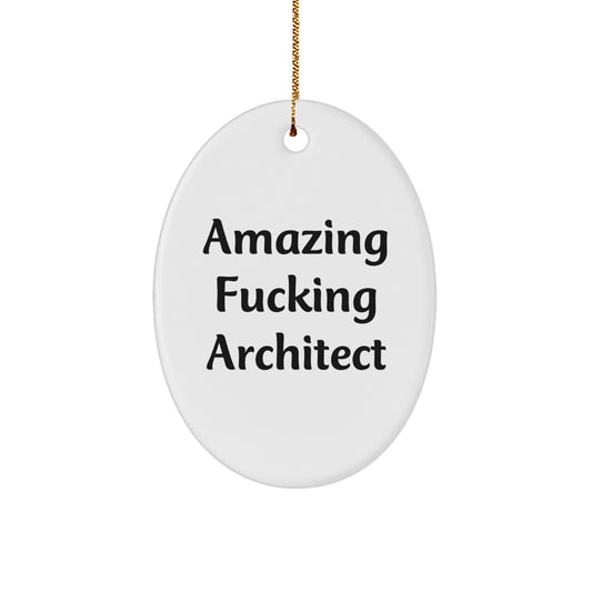 Funny Architect Gifts from Men, Christmas Unique Oval Ornaments for Friends, Coworkers, Family - 'Amazing F--king Architect' Quote - Image 1