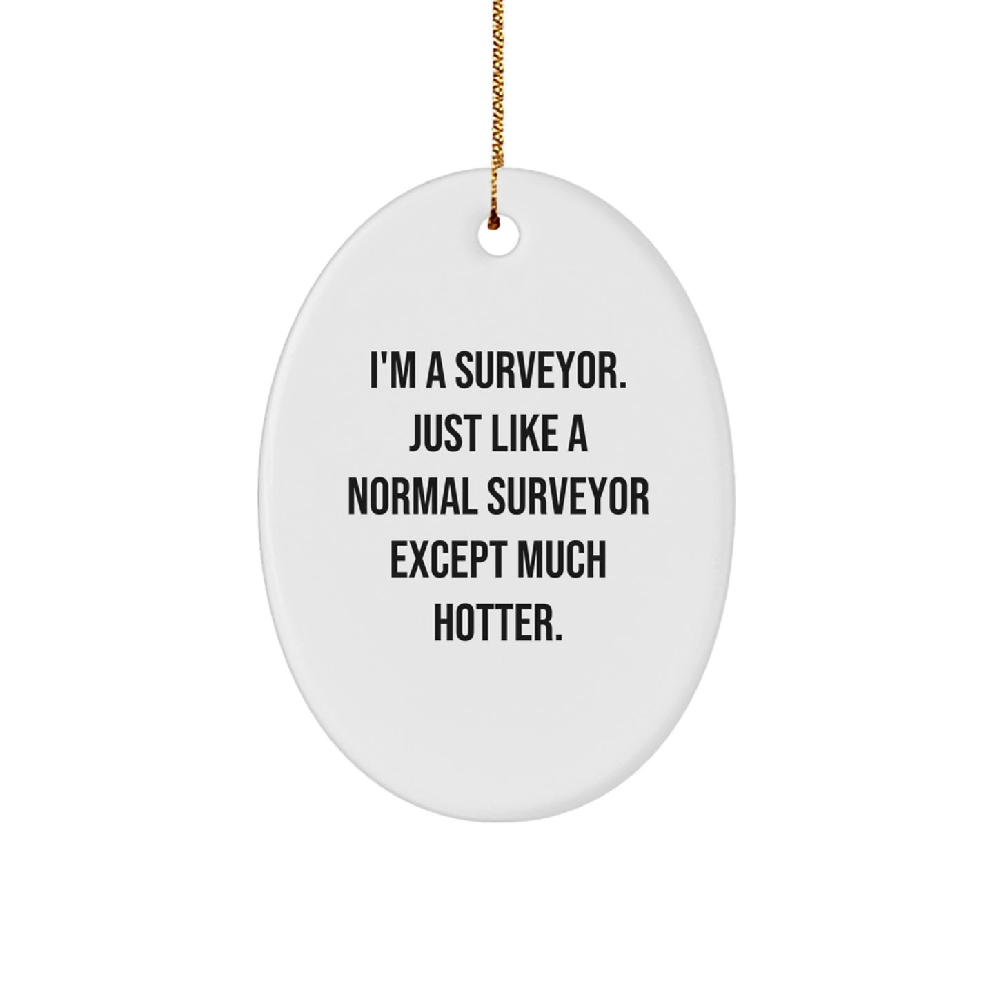 Funny Surveyor Christmas Oval Ornament Gifts for Surveyor Friends - Image 1