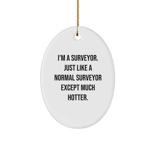 Funny Surveyor Christmas Oval Ornament Gifts for Surveyor Friends - Image 1