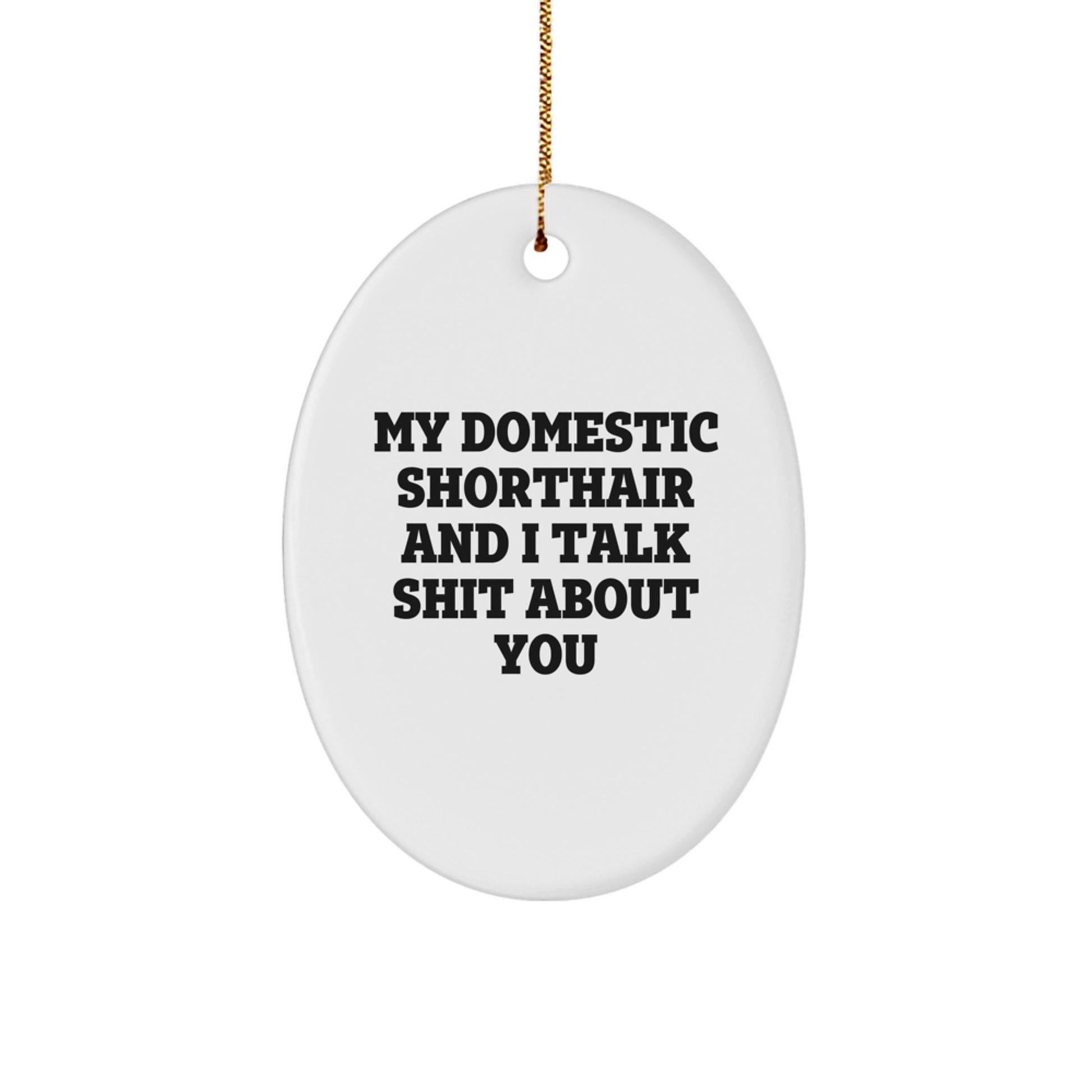 Funny Gifts from Men to Domestic Shorthair Cat Owners for Christmas, Oval Ornament, 'My Domestic Shorthair And I Talk Shit About You' - Image 1