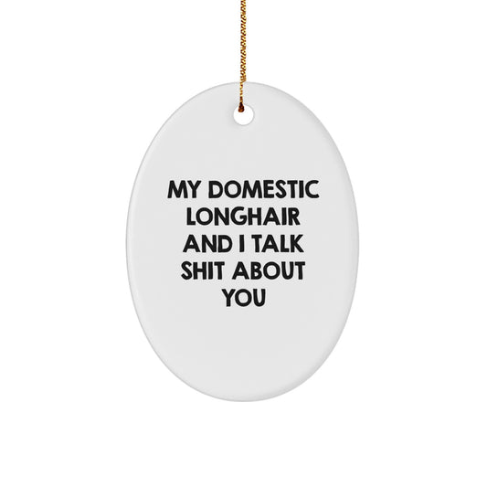 Funny Domestic Longhair Cat Gifts for Christmas, Oval Ornament, I Talk Shit About You, Gifts for Cat Lovers from Friends - Image 1