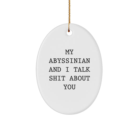 Funny Abyssinian Cat Gifts from Men to Friends - Oval Ornament for Christmas Unique Gifts - Image 1