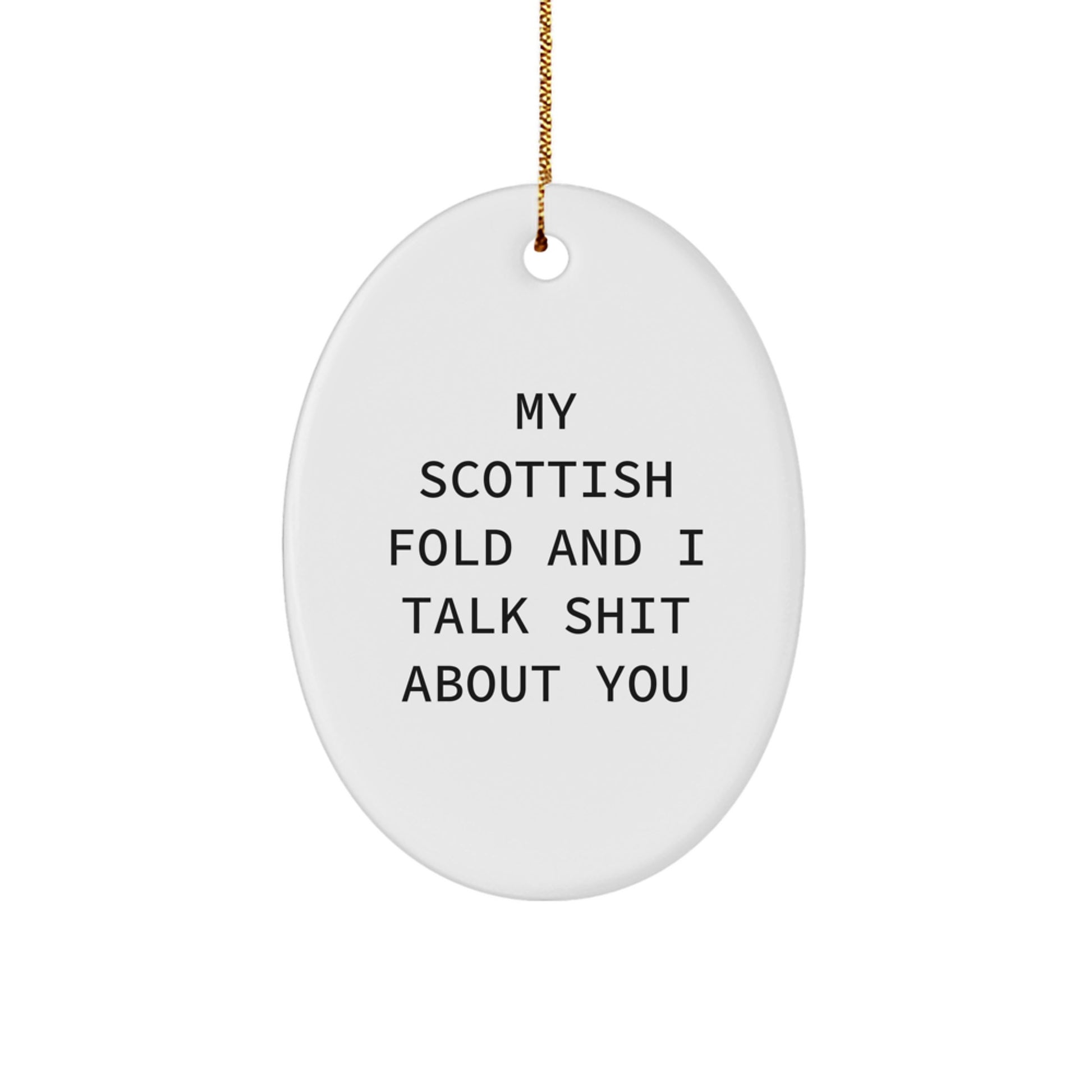 Funny Scottish Fold Cat Oval Ornament Gifts from Friends for Christmas, Unique Presents for Men Women Family - Image 1