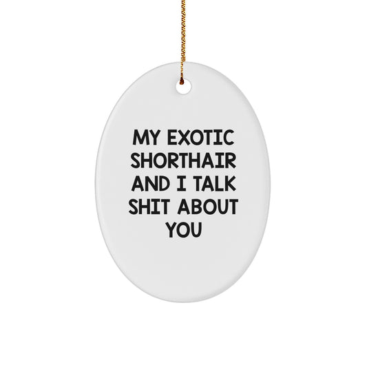 Funny Gifts for Exotic Shorthair Cat Lovers - My Exotic Shorthair And I Talk Shit About You Oval Ornament White Christmas - Image 1