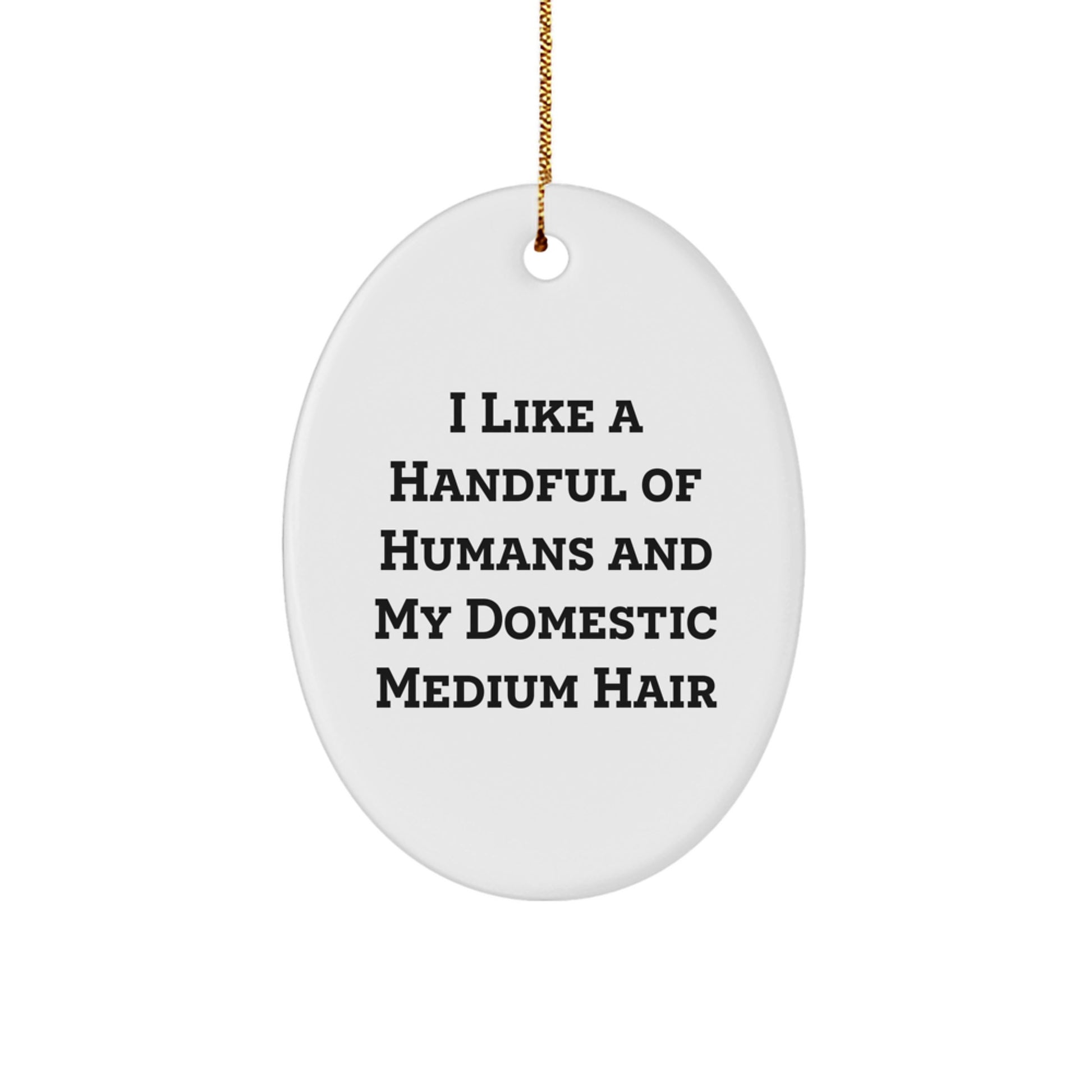 Funny Domestic Medium Hair Cat Oval Ornament Gifts from Men to Men's Favorite Domestic Medium Hair Cat Friend for Christmas Unique Gifts - Image 1