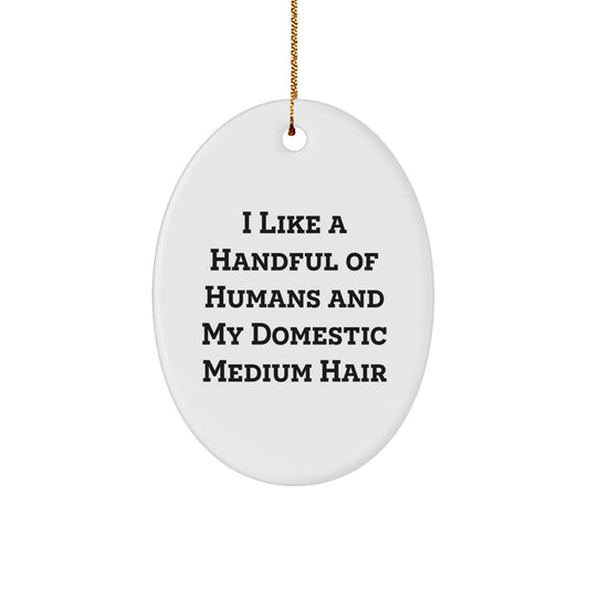 Funny Domestic Medium Hair Cat Oval Ornament Gifts from Men to Men's Favorite Domestic Medium Hair Cat Friend for Christmas Unique Gifts - Image 1