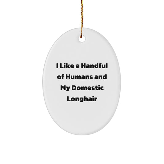 Domestic Longhair Cat Lover Gifts from Friends for Christmas Unique Oval Ornament, Funny Quote I Like A Handful Of Humans And My Domestic Longhair - Image 1