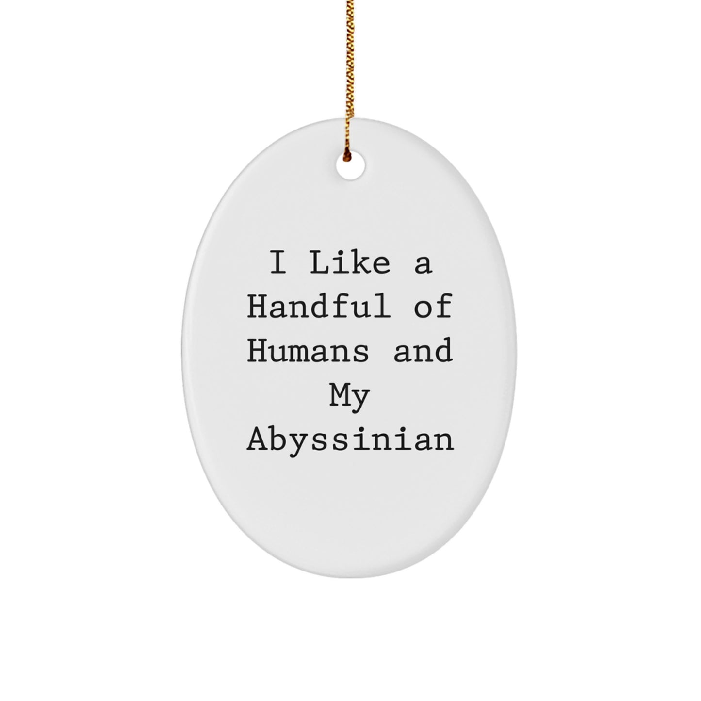 Funny Abyssinian Cat Oval Ornament Gifts for Cat Lovers, Christmas Unique Presents from Friends to Family Members - Image 1