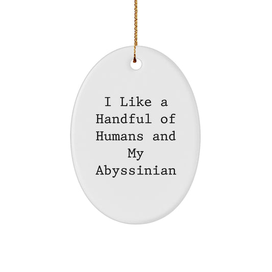 Funny Abyssinian Cat Oval Ornament Gifts for Cat Lovers, Christmas Unique Presents from Friends to Family Members - Image 1