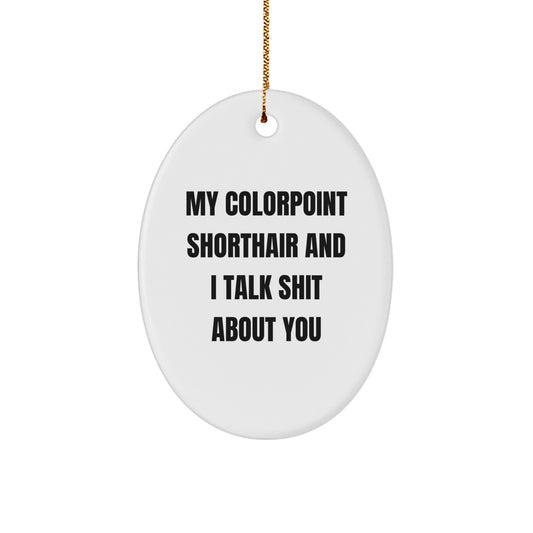 Funny Colorpoint Shorthair Cat Oval Ornament, Gifts from Friends to Family, Colorpoint Shorthair Cat Lover Christmas Unique Decorations - Image 1
