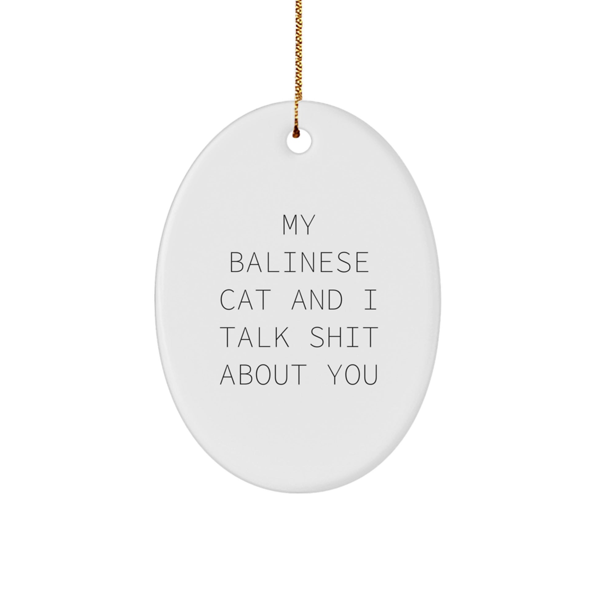 Funny Balinese Cat Oval Ornament Gifts from Friends for Christmas Unique - Image 1
