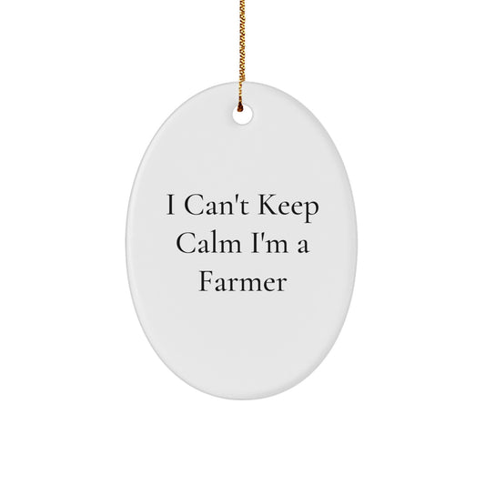 Funny I Can't Keep Calm I'm A Farmer Oval Ornament, Christmas Unique Gifts from Men to Farmer Friends, Unique Decorations for Home Farmhouse - Image 1