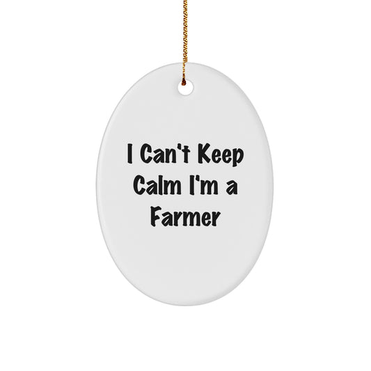 Funny Farmer Gifts, I Can't Keep Calm I'm A Farmer Oval Ornament, Perfect for Christmas Unique Gifts from Friends to Farmer Men - Image 1