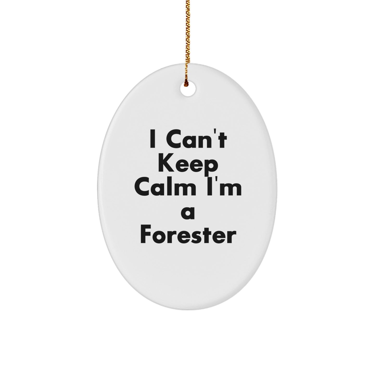 Funny Forester Gifts for Men, Friends, Family, Oval Ornament, I Can't Keep Calm, Christmas Unique Decorations - Image 1