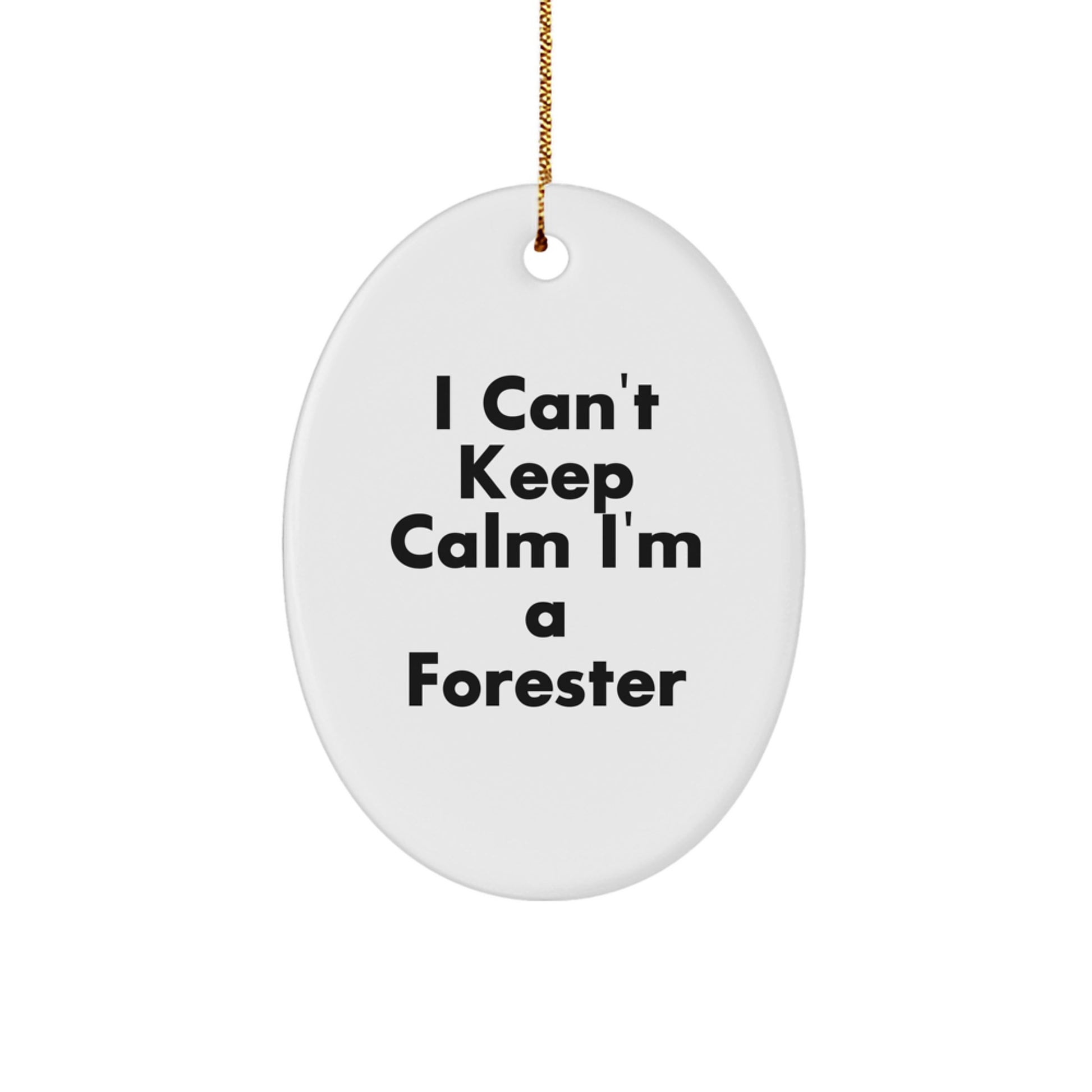 Funny Forester Gifts for Men, Friends, Family, Oval Ornament, I Can't Keep Calm, Christmas Unique Decorations - Image 1