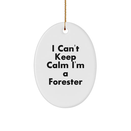 Funny Forester Gifts for Men, Friends, Family, Oval Ornament, I Can't Keep Calm, Christmas Unique Decorations - Image 1