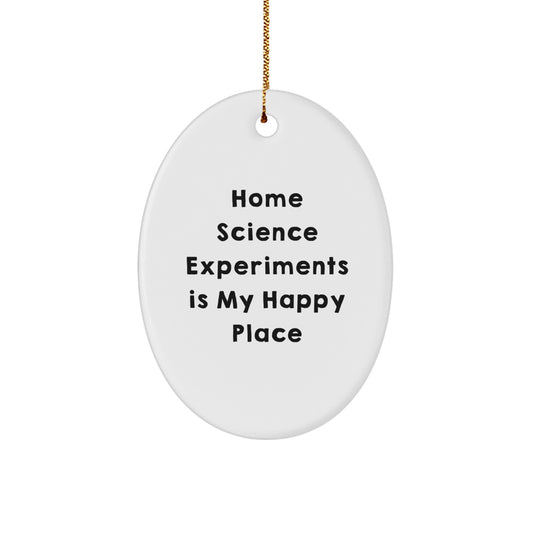 Home Science Experiments Keepsake Christmas Ornament for Him Gift - Image 1
