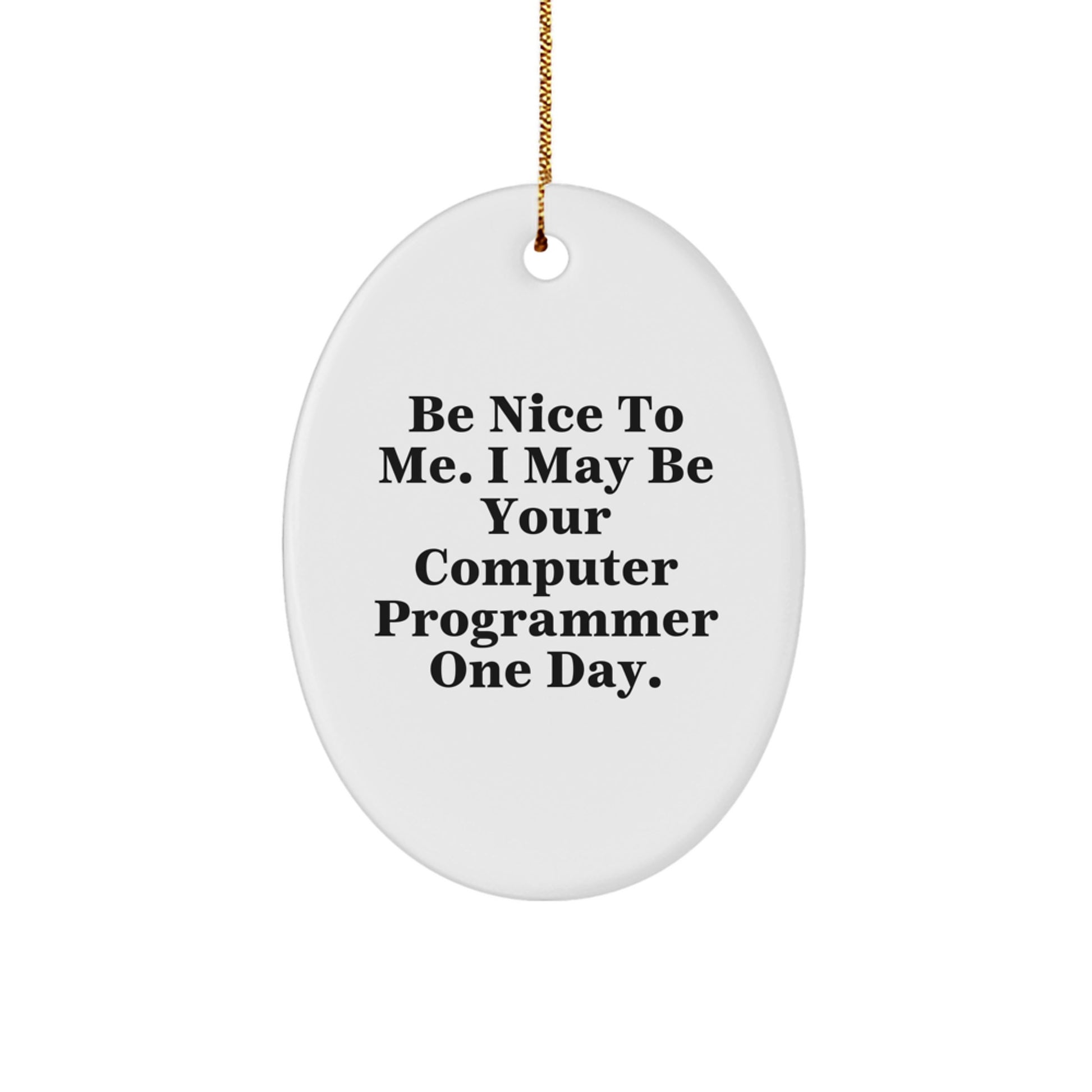 Funny Computer Programmer Oval Ornament Gifts from Friends for Men or Women, Be Nice To Me I May Be Your Computer Programmer One Day Christmas Decor - Image 1