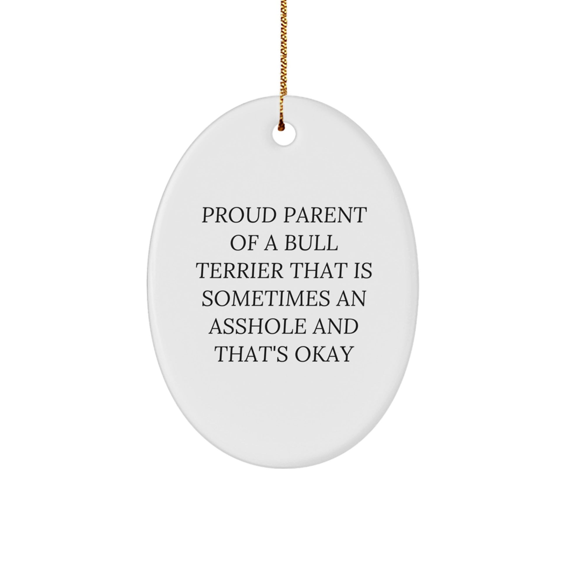 Bull Terrier Dog Lovers' Funny Oval Ornament Gifts from Family for Christmas Unique Decorations - Image 1