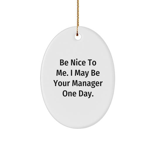 Funny Manager Gifts, Be Nice To Me. I May Be Your Manager One Day. Oval Ornament for Christmas, Gifts from Friends to Manager - Image 1