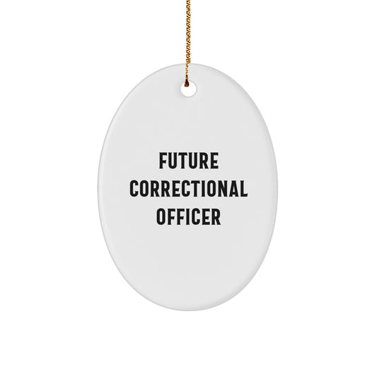 Funny Quote Gifts for Correctional Officer Friends and Family Members, Oval Ornament, Correctional Officer Christmas Unique Gifts, Gifts from Men and Women, Correctional Officer Oval Decoration - Image 1