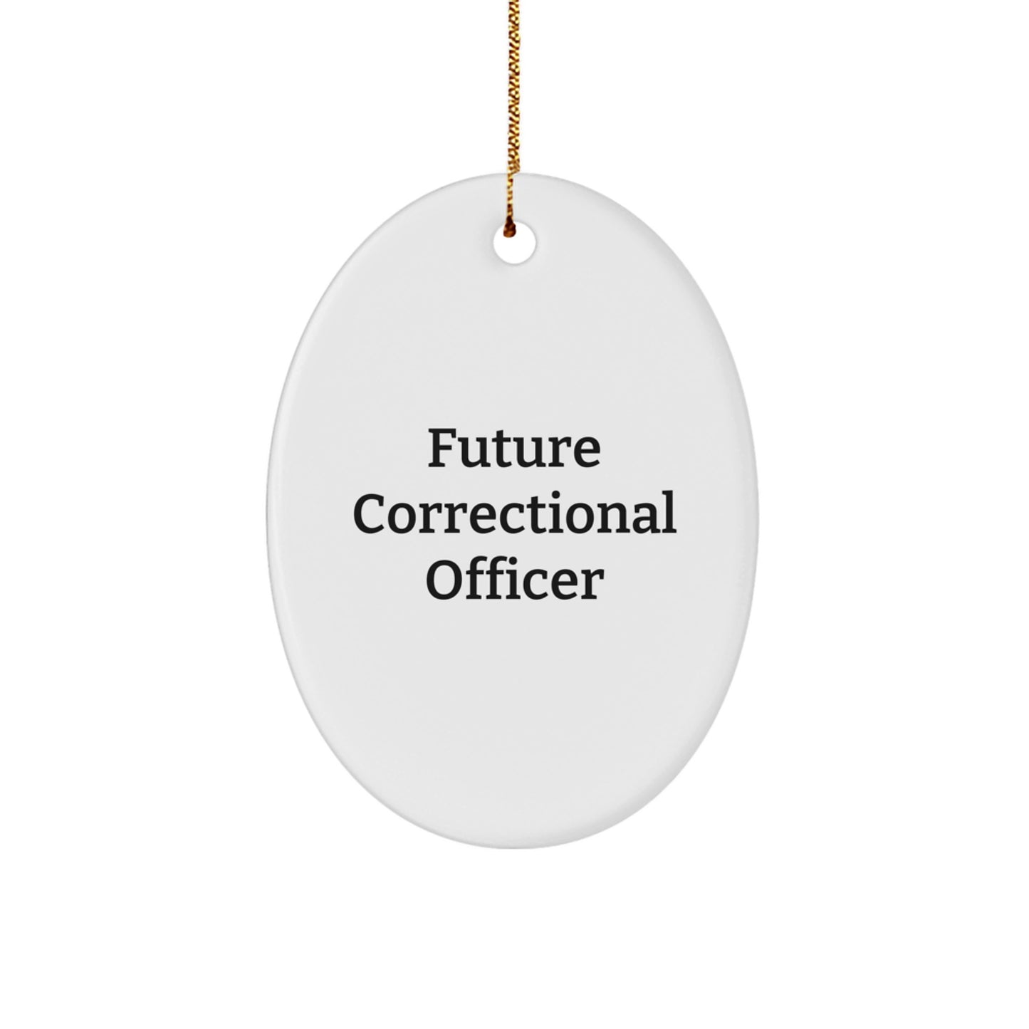 Funny Quote Gifts for Correctional Officer, Oval Ornament, Christmas Unique Gifts from Friends, Family, Coworkers - Image 1
