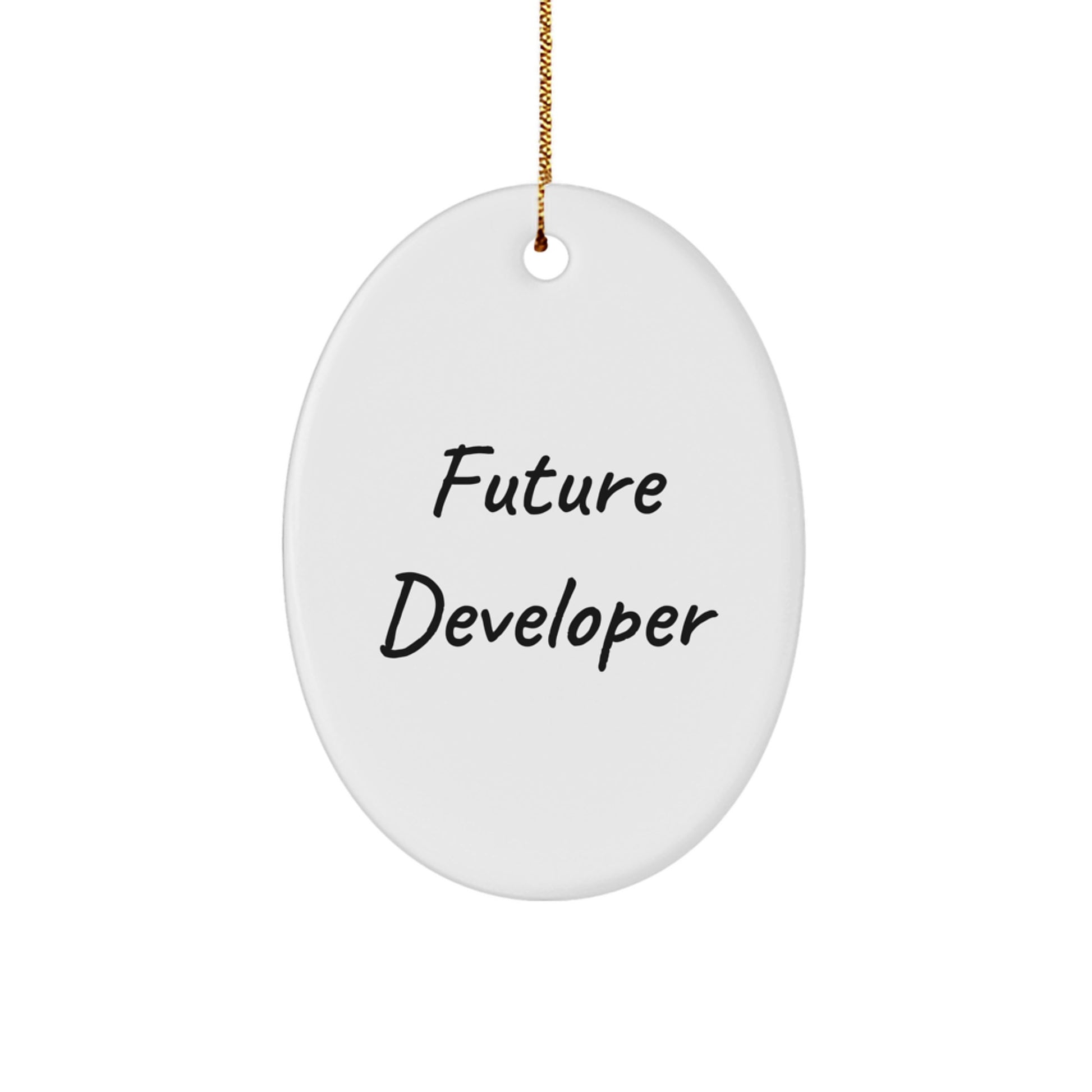 Funny Developer Gifts from Friends for Future Developers - Oval Ornament for Christmas - Image 1