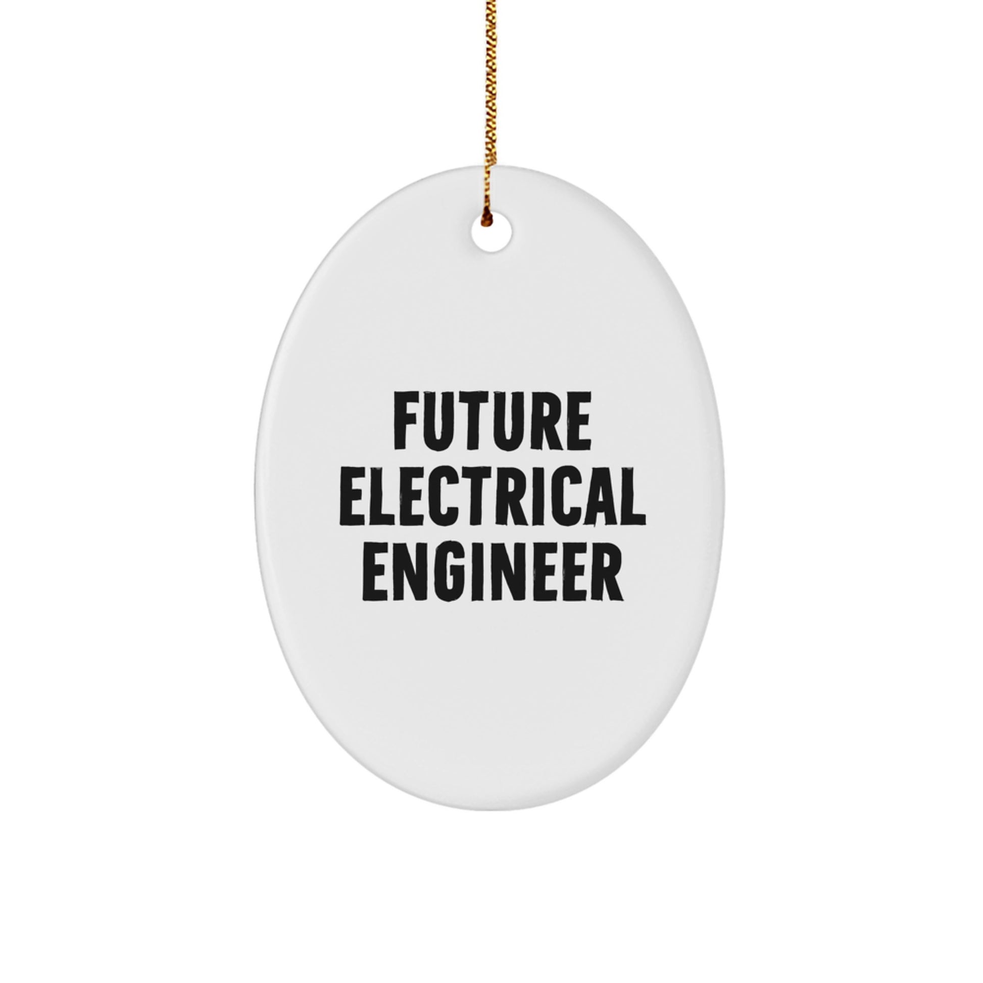 Future Electrical Engineer Oval Ornament Funny Quote Gifts from Friends for Electrical Engineer Christmas Unique Holiday Decorations - Image 1