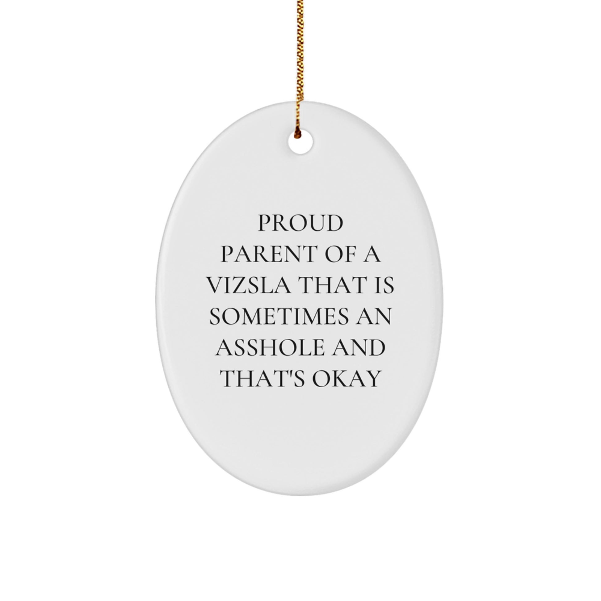 Funny Vizsla Dog Gifts for Christmas - Oval Ornament for Proud Parents, Gifts from Men, Women, Friends, Coworkers, Family - Image 1