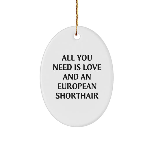 European Shorthair Cat Lover Gifts from Friends for European Shorthair Cat Owners, Inspirational Oval Ornament, Funny Cat Christmas Unique Gifts - Image 1