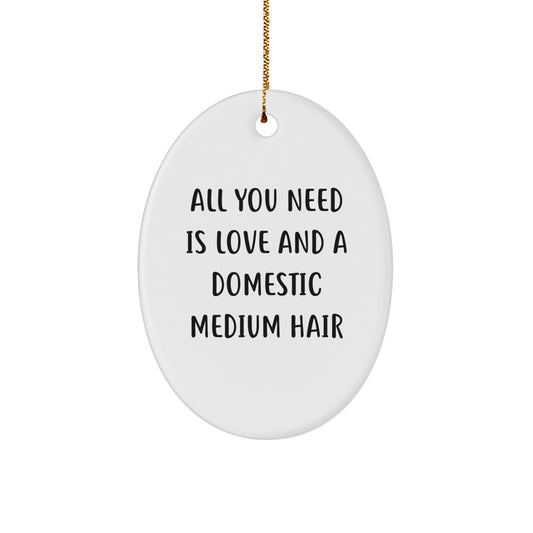 Funny Domestic Medium Hair Oval Ornament Gifts for Friends from Men, White Oval Shaped Decoration for Christmas Unique Gifts - Image 1