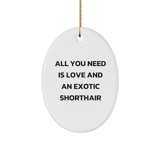 Exotic Shorthair Cat Oval Ornament Funny Gift All You Need Is Love And An Exotic Shorthair Christmas, Gifts for Exotic Shorthair Cat, Gifts from Friends and Family - Image 1
