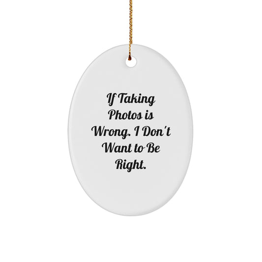 Taking Photos Funny Oval Ornament Gifts from Family for Christmas, If Taking Photos Is Wrong. I Don't Want To Be Right. Oval Ornament Taking Photos Gifts for Men Women Friends Coworkers Family - Image 1