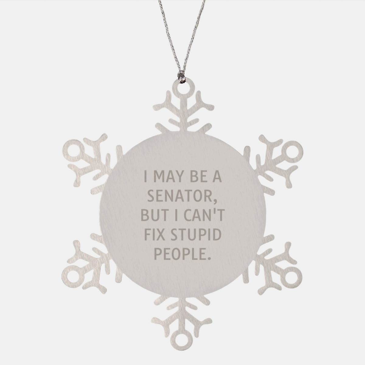 Holiday Ornament Sen. 'I May Be A Senator, But I Can't Fix Stupid Gift - Image 1