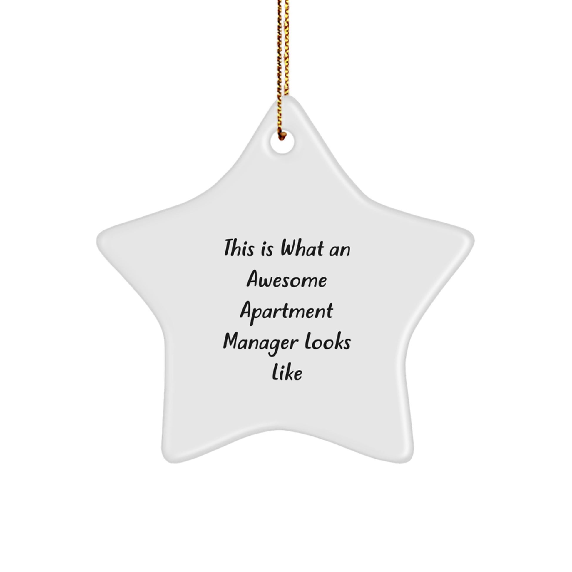 Funny Apartment Manager Gifts from Men, Christmas Unique Gifts for Office, Awesome Star Ornament Quote Decoration - Image 1