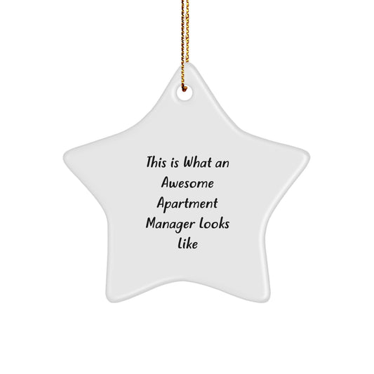 Funny Apartment Manager Gifts from Men, Christmas Unique Gifts for Office, Awesome Star Ornament Quote Decoration - Image 1