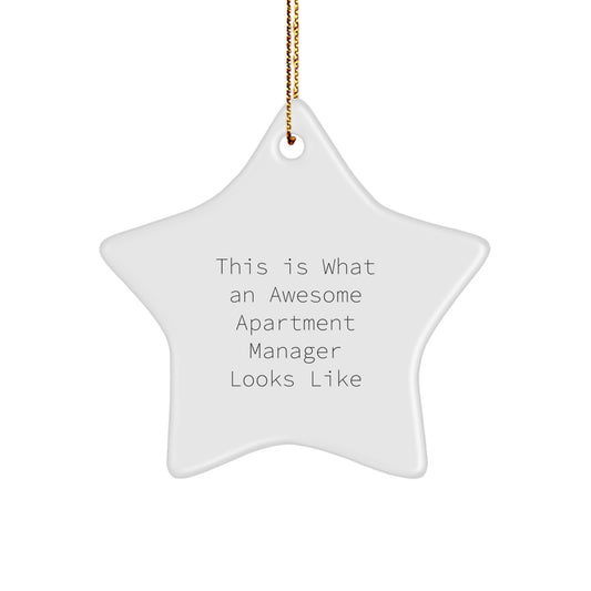 Funny Gifts from Men to Awesome Apartment Managers - Star Ornament for Christmas Unique Presents - Image 1